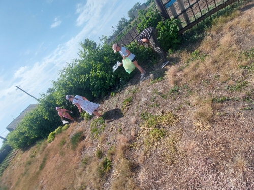 Ребята - эколята, оздоровительного лагеря Косолаповской СОШ, провели  экологический трудовой десант.
